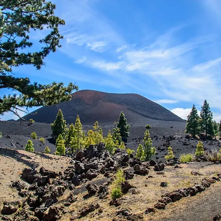 Daire Plaza Del Principe *