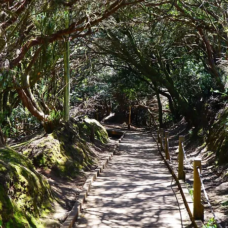 Daire Plaza Del Principe Santa Cruz de Tenerife