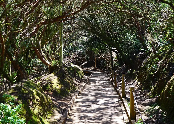 Διαμέρισμα Plaza Del Principe Σάντα Κρουζ Τενερίφης