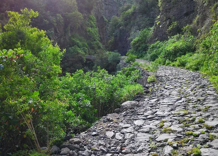 Plaza Del Principe Διαμέρισμα *